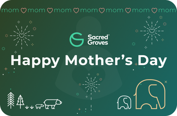 Mothers Day05