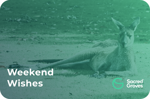 Weekend03