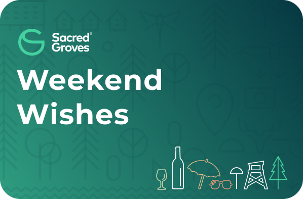 Weekend06