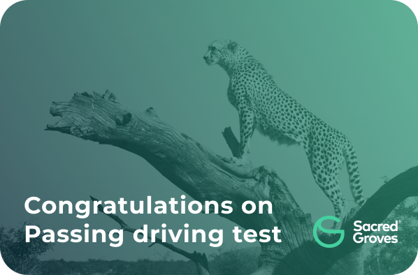 Passed Driving Test03