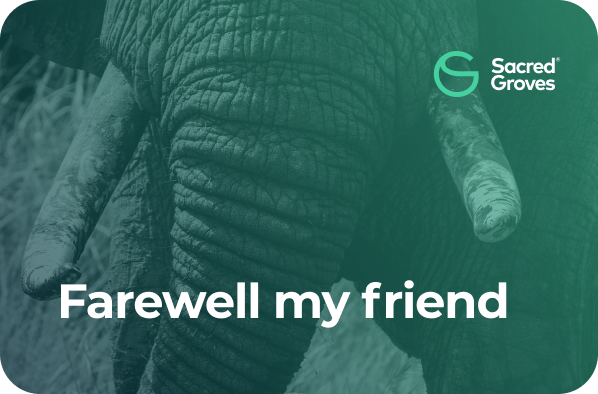Farewell03