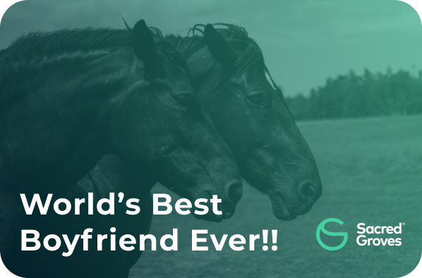World's best Boyfriend03