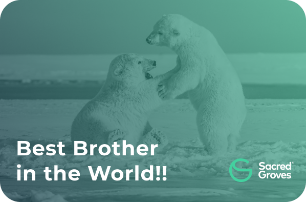 World's best Brother03