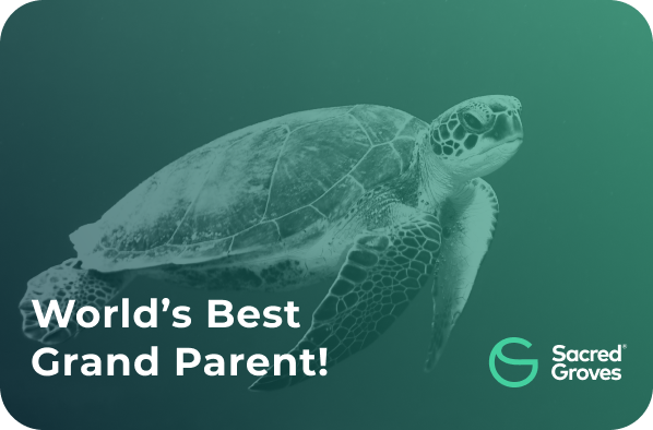 World's best Grandparent04