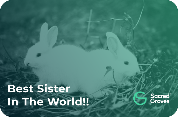 World's best Sister03
