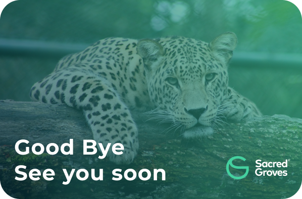 Good Bye03