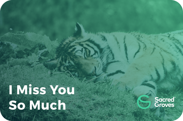 Missing You03
