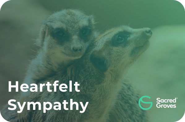 Sympathy03