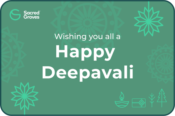 Diwali10